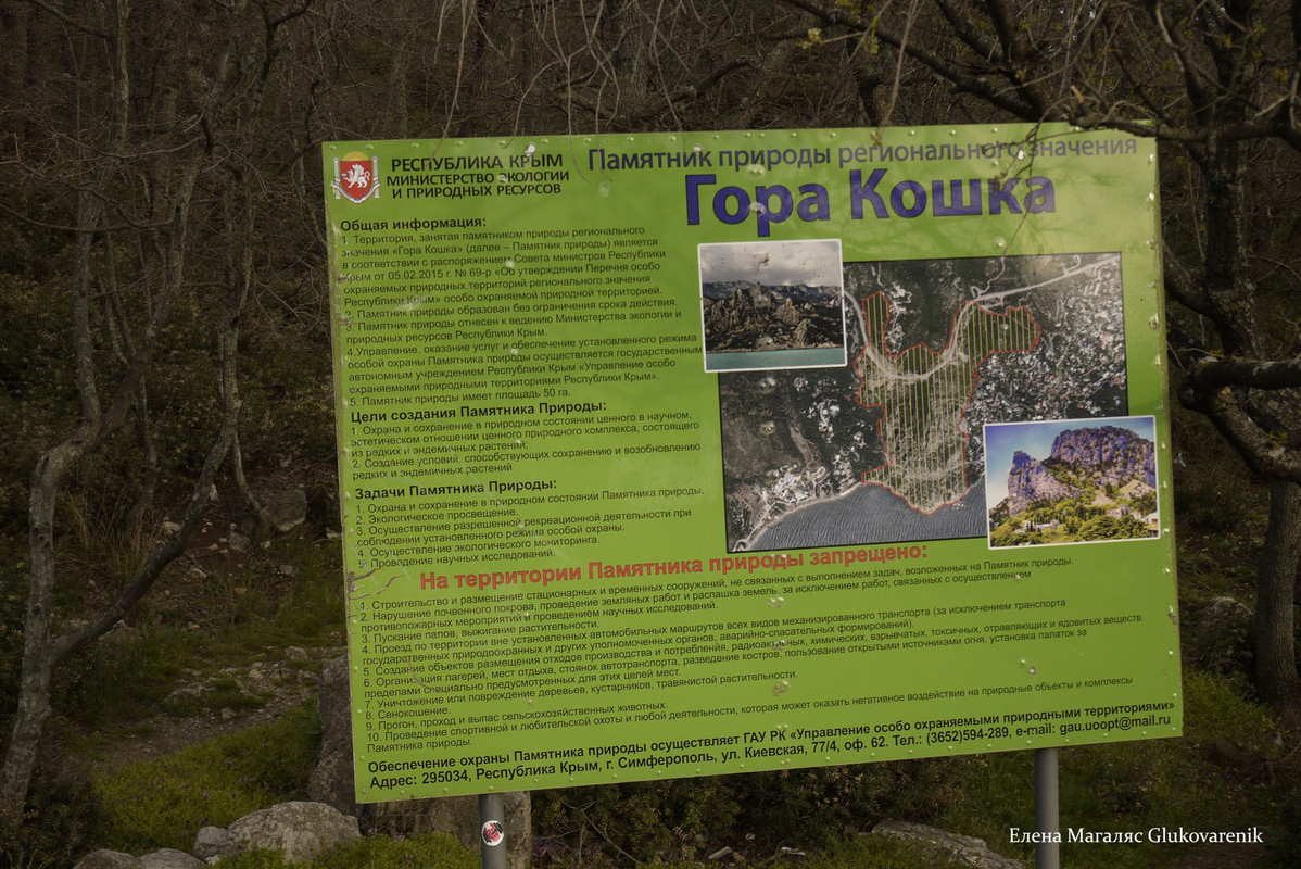 Гора Кошка 