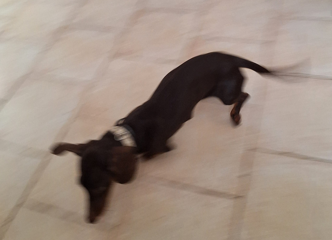 [Image: 20240325-093426.jpg]