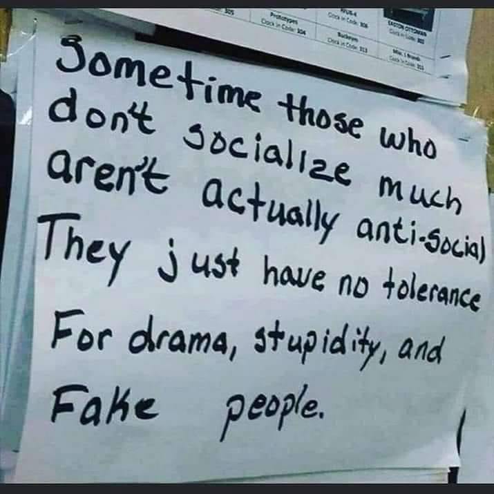 sociialize