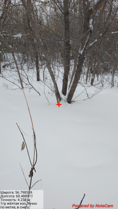 photo 2026 02 02 16 59 40