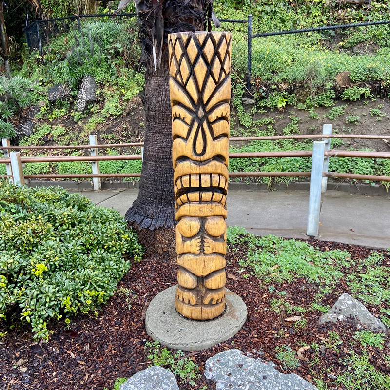 C1D3A712-F2F3-49E7-BC8C-66E69AEBCBC6