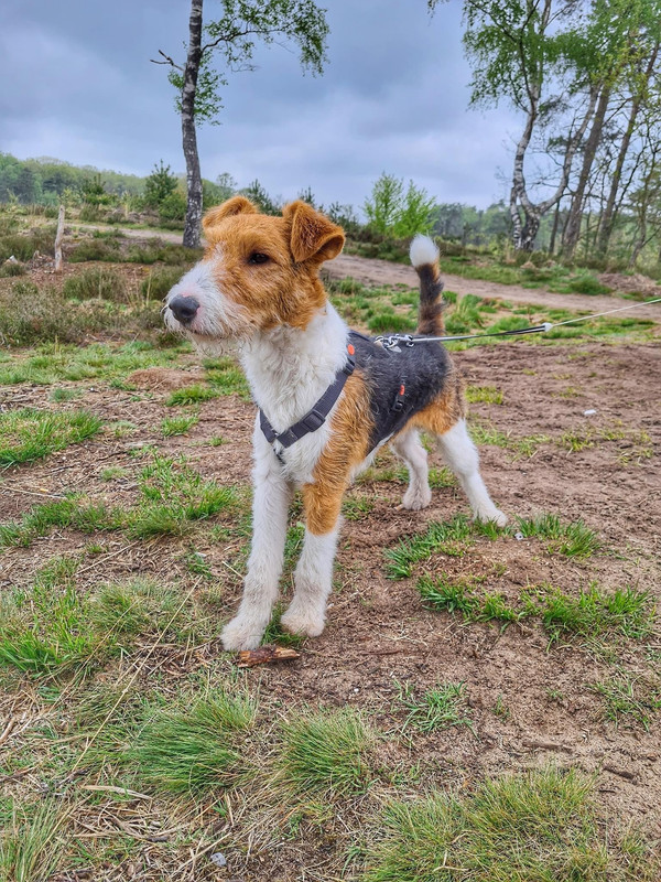 837BA0EF-E8E4-4C2D-9D52-40DA9B2E3806