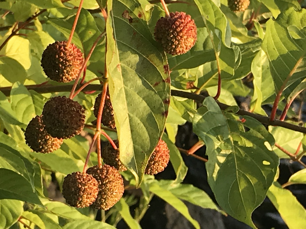 980C8B6B-5ABD-411D-9A29-7AD1373E92D6