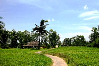 Thơ hoạ Nguyễn Thành Sáng & Tam Muội (1954) Duong-ve-que-me