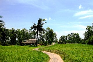 mươi -  Thơ hoạ Nguyễn Thành Sáng & Tam Muội (1954) Duong-ve-que-me