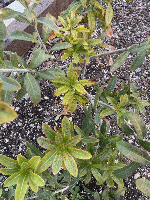 FD424C89-6092-43F3-A41D-EB0B8AA84F74