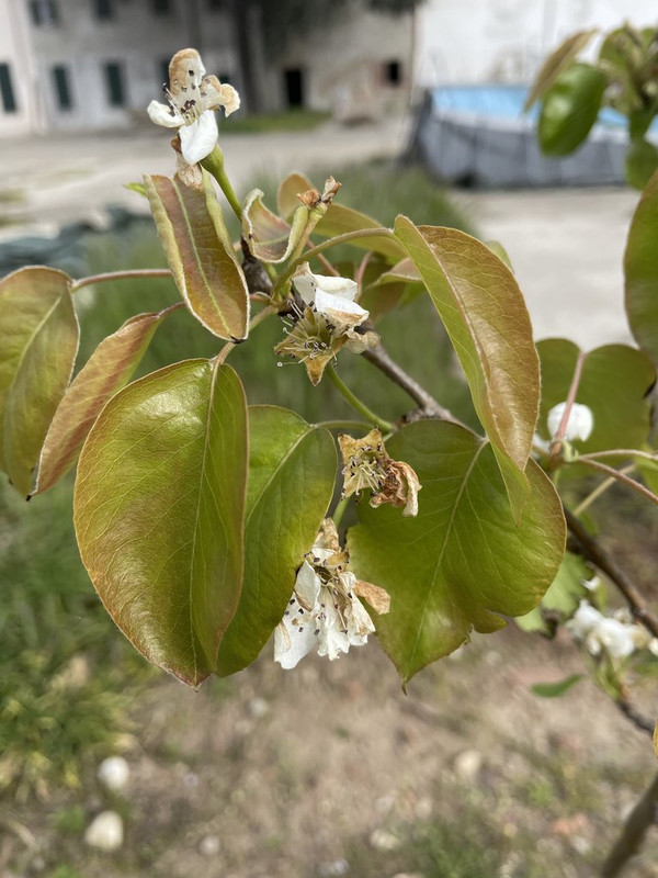 61AB8572-4956-4341-9ACB-B91B21F57F47