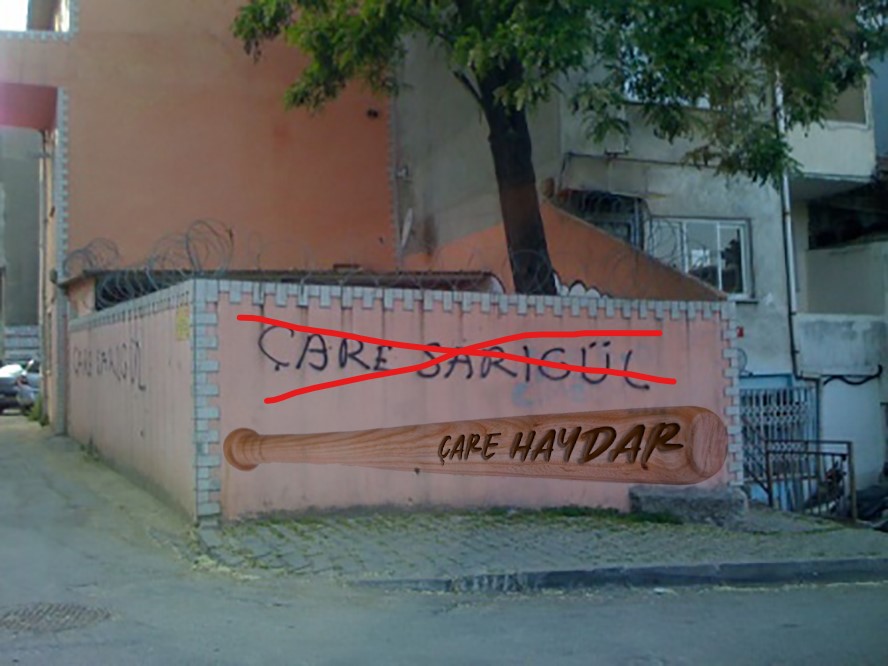 care-sarigul-1.jpg