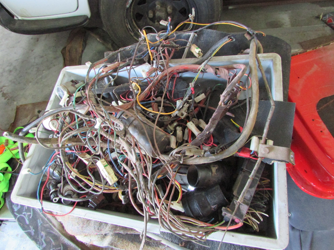 Hahn Strip down 2 (5)