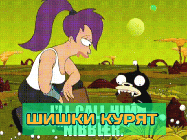 Шишки курят - трип репорт на шишки бошки Шишки курят - трип репорт на шишки бошки