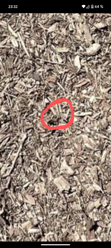 Screenshot_20240416-233204~2