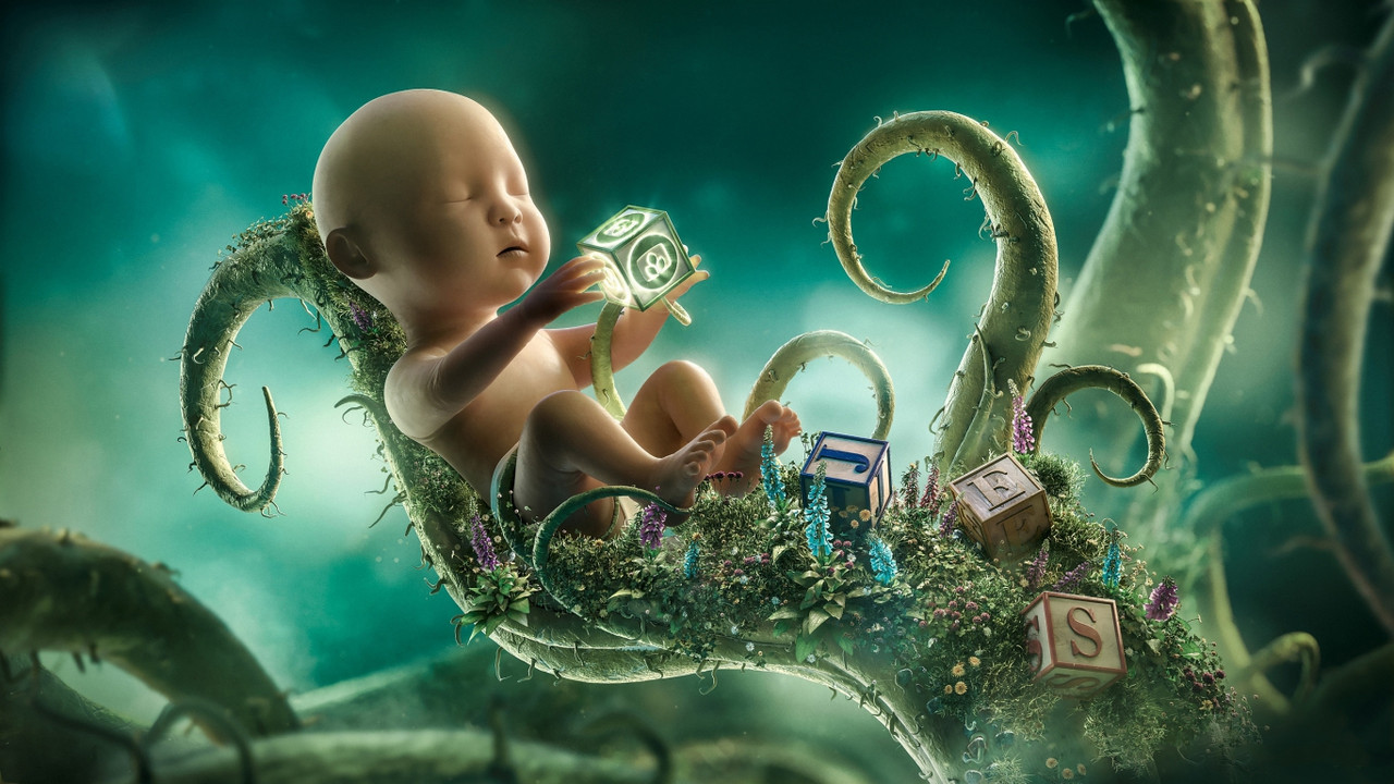 oboitut.com_1460613459