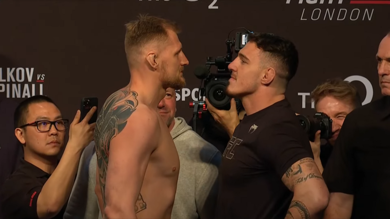 Резултати от UFC Fight Night: Волков - Аспинал