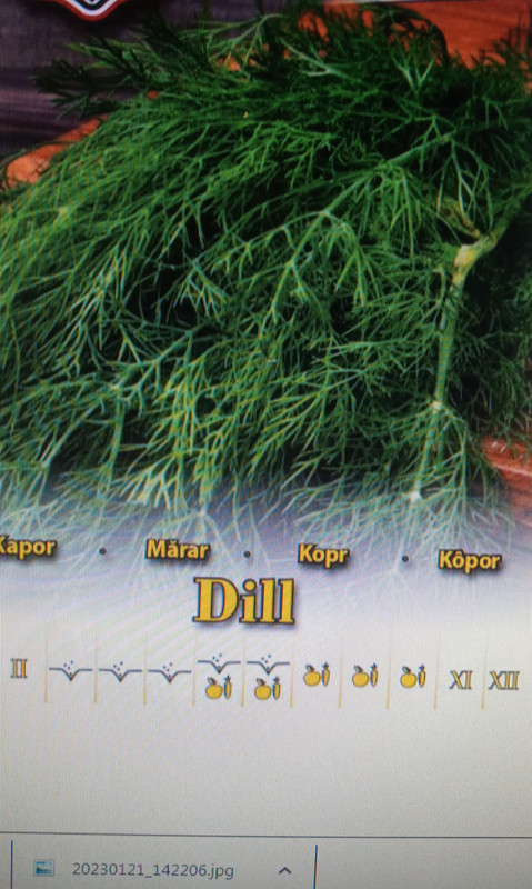 20230121_165951_2 (1)