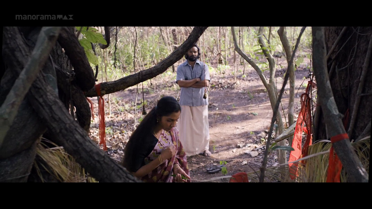 vlcsnap 2026 02 06 18h01m54s858