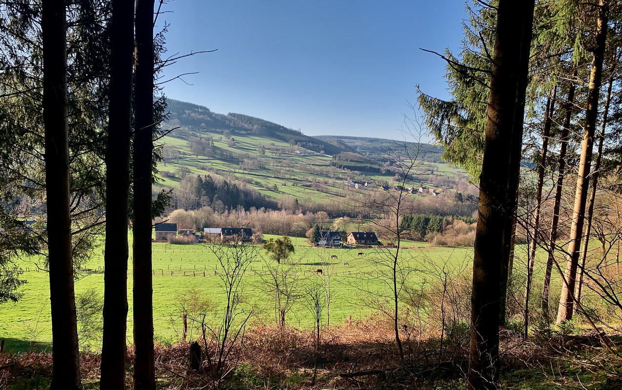 2572D8F0-4F38-40BA-A23F-62C8B1EF22B6_1_201_a