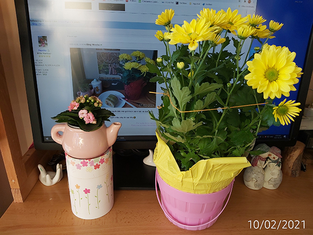 [Image: IMG-20210210-081612.jpg]