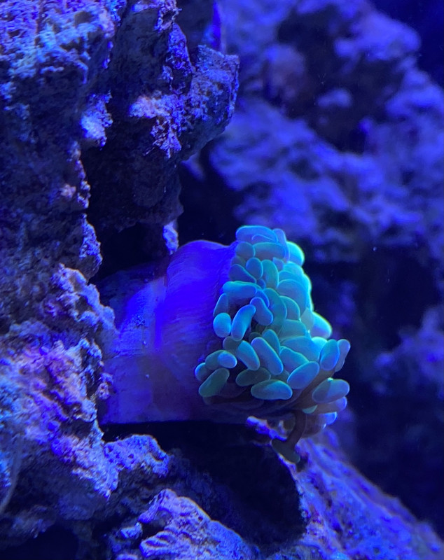 5A0ECCD3-6214-4567-9076-E4F2C7FF209C