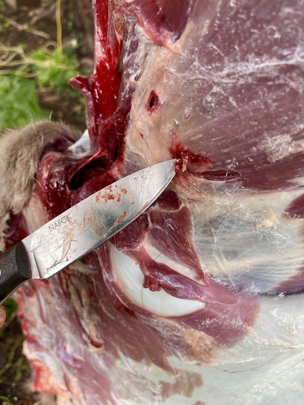 6D09FD76-7E6C-4494-91A5-31F061730482