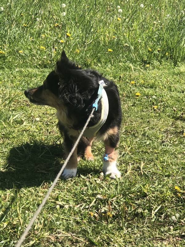 8D1F3EF8-8406-4D6C-BB8D-A67C532B8E90