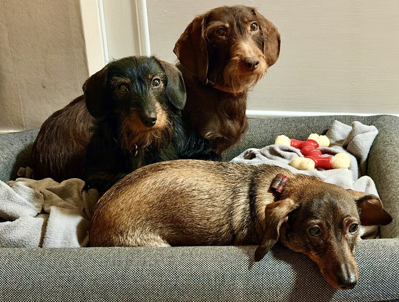 [Image: IMG-0658.jpg]