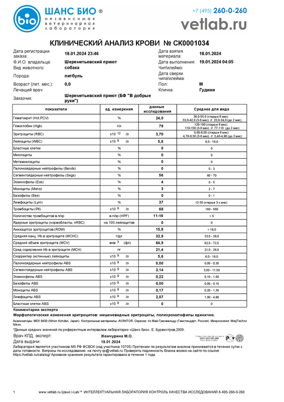 Клиническийанализкрови_Шереметьевский приют_СК0001034