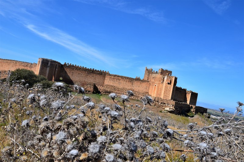 CASTILLO DE MONTALBAN-8-3-2015-TOLEDO - Pueblos y lugares abandonados/deshabitados-2011 AL 2024 (4)