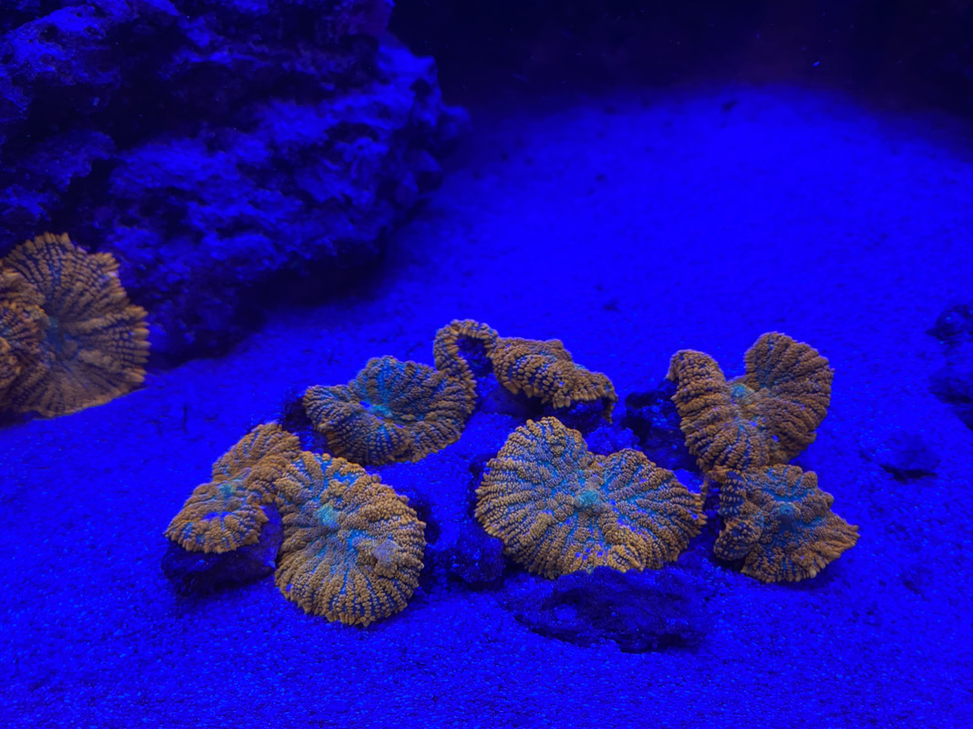 FB3266AB-0812-4D6E-BA28-3EE173013648