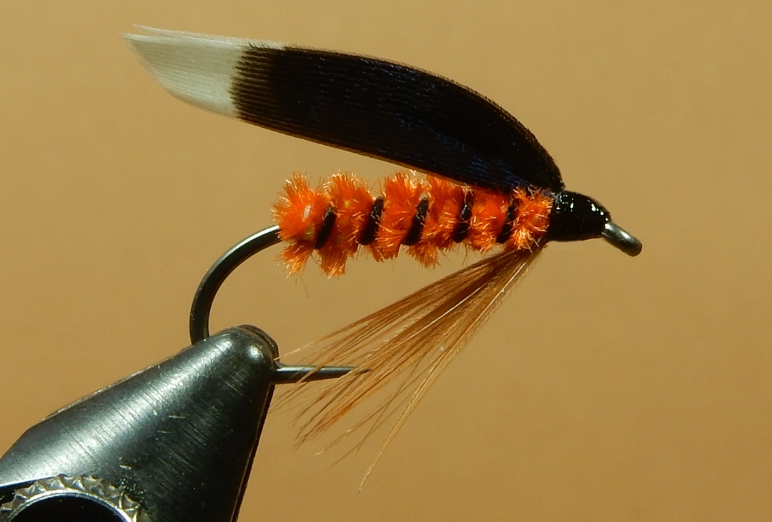 Edrington-1080.jpg