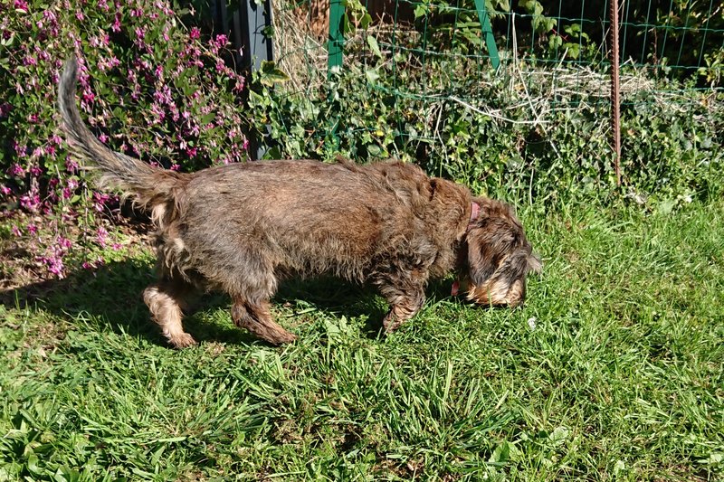 [Image: DSC-4258.jpg]