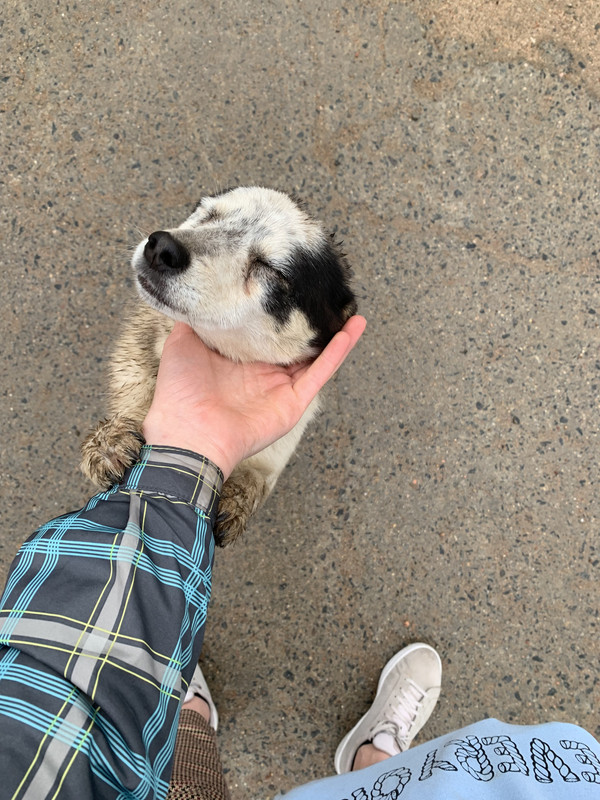 A96B2D47-E5BE-49CC-B9A9-C1D864BA724F