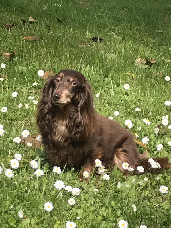 [Image: AC32-ECF0-84-D7-42-DD-A4-C4-D7625-CDFF085.jpg]