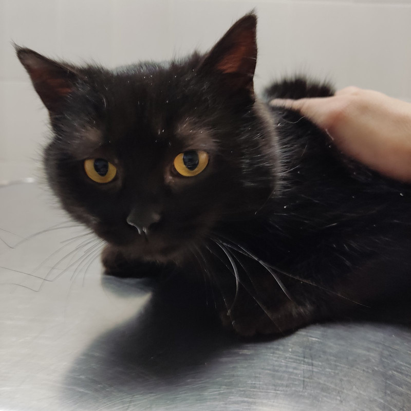 CF58B0E0-BD9D-4FC5-B7C8-07F4FE74175A