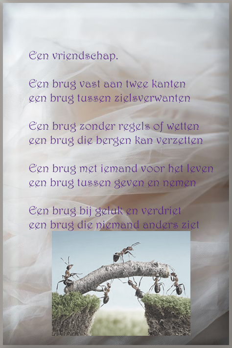 861b74c4c5eddd9bd6c8cac070d8222c