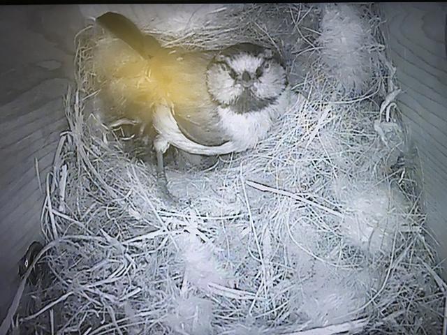 49F287B3-913F-459B-81CA-FB44164B8B2B