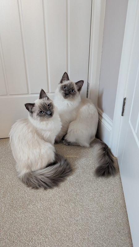 PXL_20240123_112443826