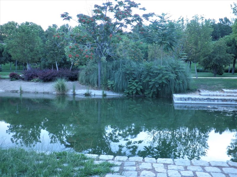 PARQUE ENRIQUE TIERNO GALVAN-2013 AL 2017-MADRID - Paseando por España-1991/2017 (37)