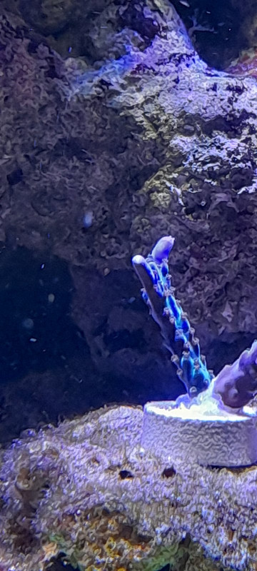 изображение_viber_2021-01-24_12-50-53