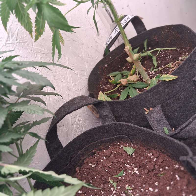 Whats App Image 2026 01 05 at 12 37 52