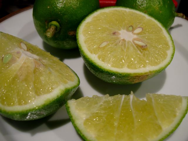 lemonade-fruit-9607