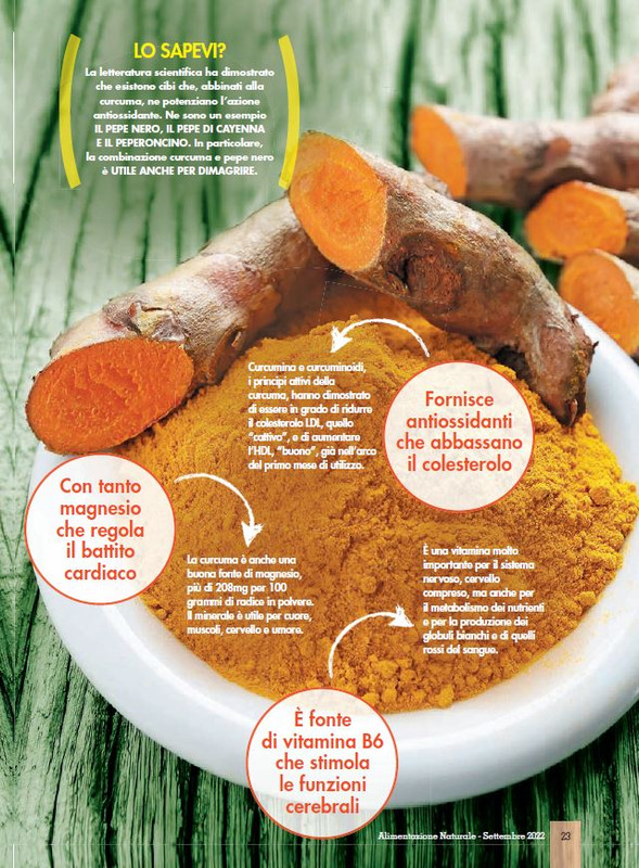 Alim Nat Set 2022 (6)