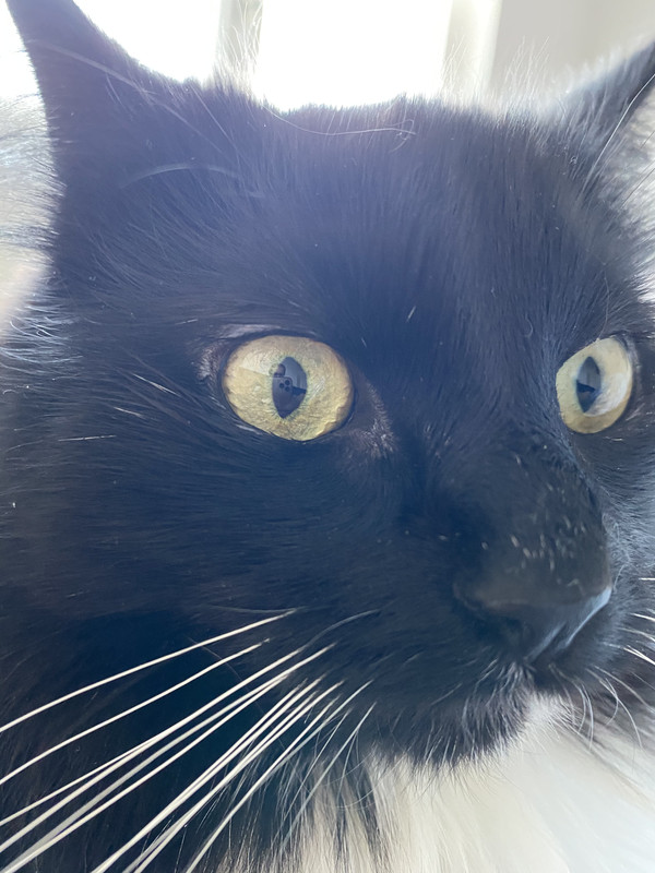 A887D26C-24AE-4CB2-B1C8-A98C07C4AB7C