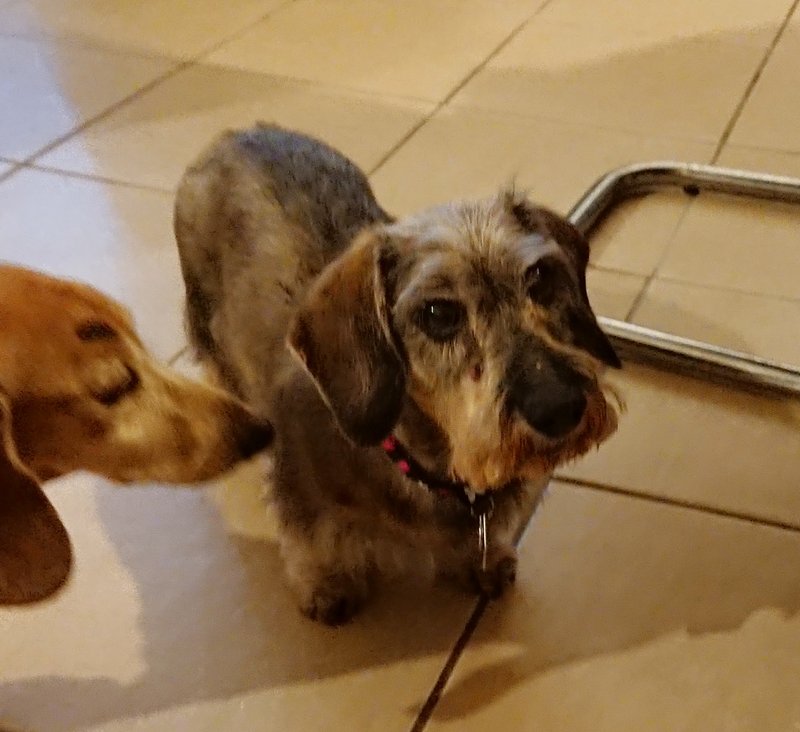 [Image: 20240326-203844.jpg]