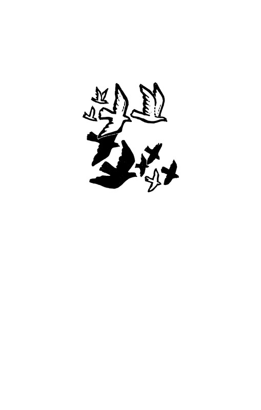 p0008