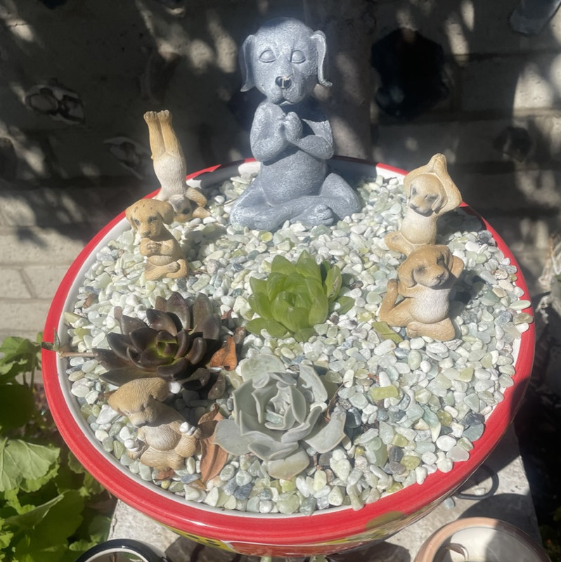 1DB01048-57D6-44D4-85DE-F44E8DE9DA2D_1_105_c