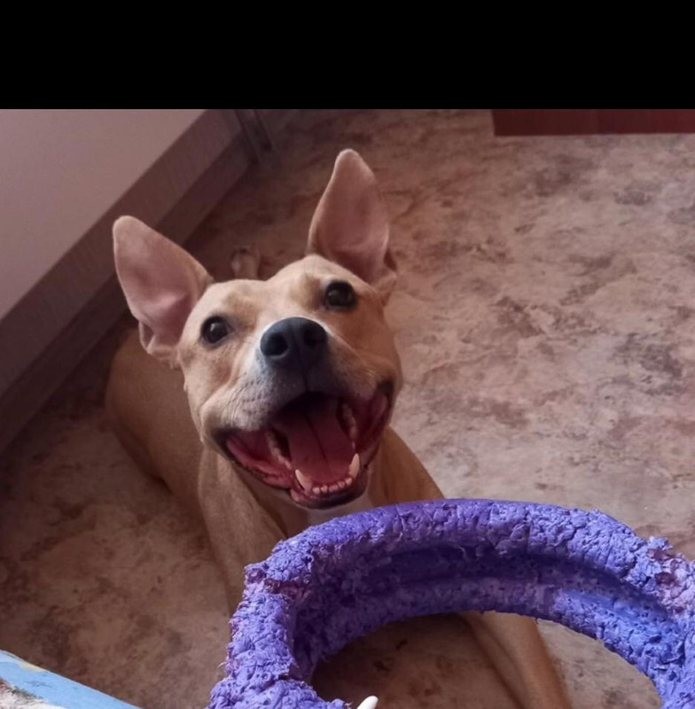 02584CFB-FD45-451E-9D69-0B22DD9D2973