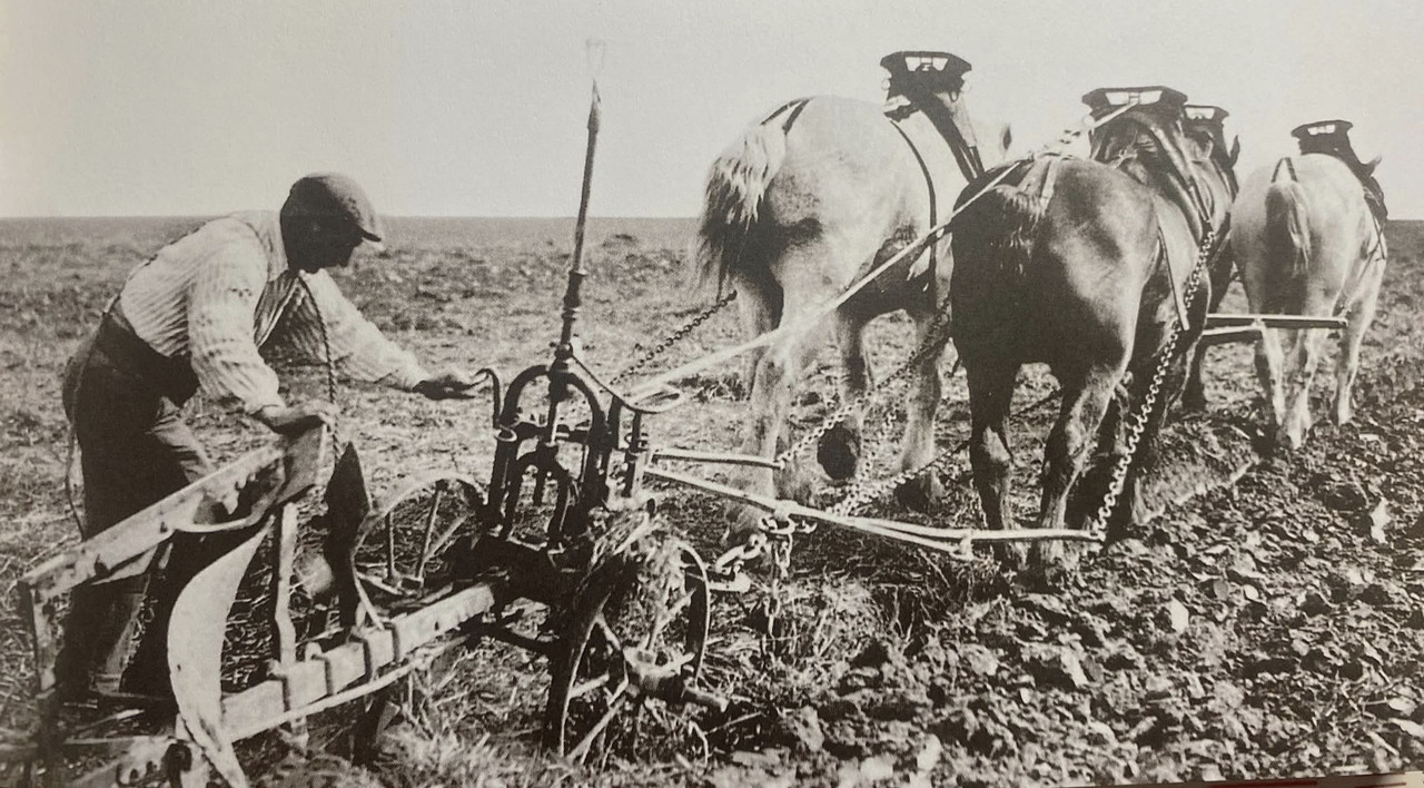 7E47DD44-A09F-4732-A5DB-A1552EA06CE4