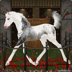 Entry-2-Foal.png