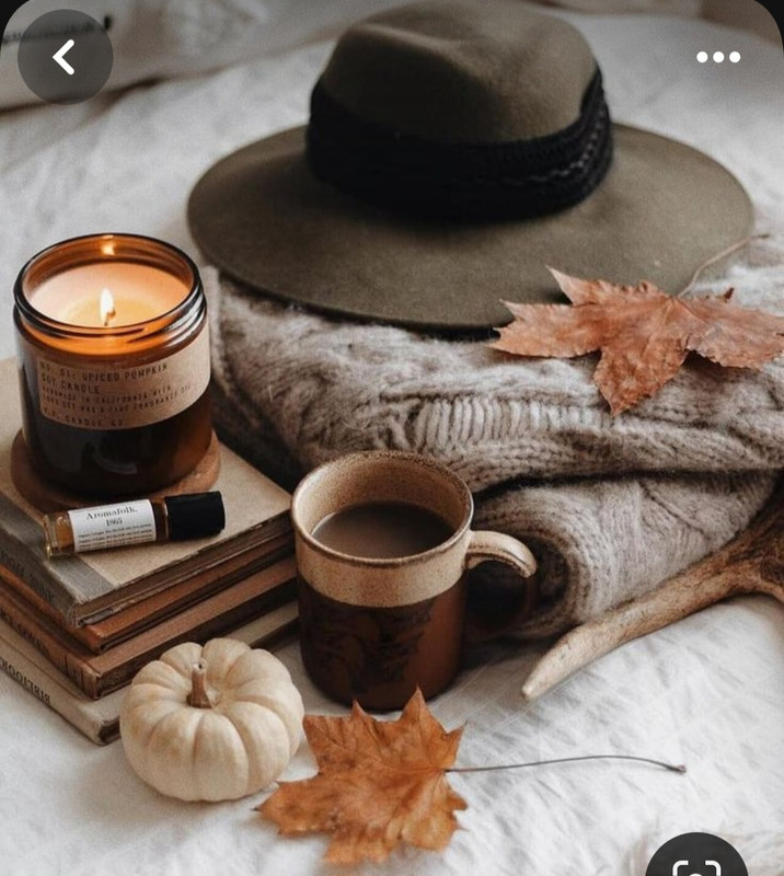 Screenshot_20230909_010841_Pinterest