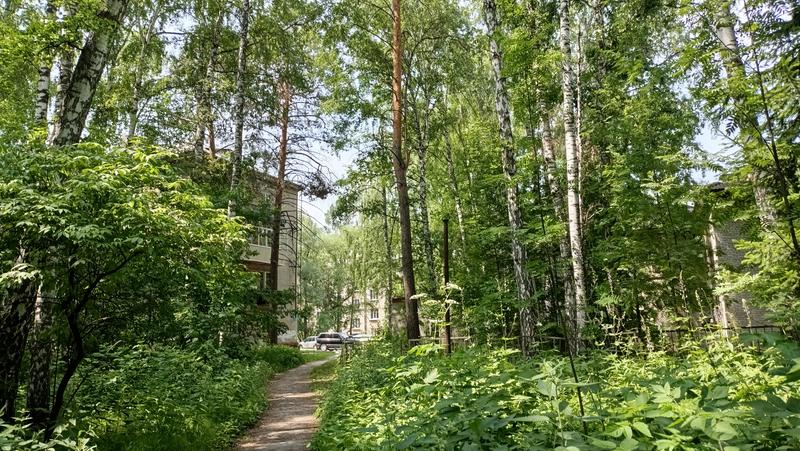 Сибирские просторы: Новосибирск - Томск - Красноярск (июнь 2026)
